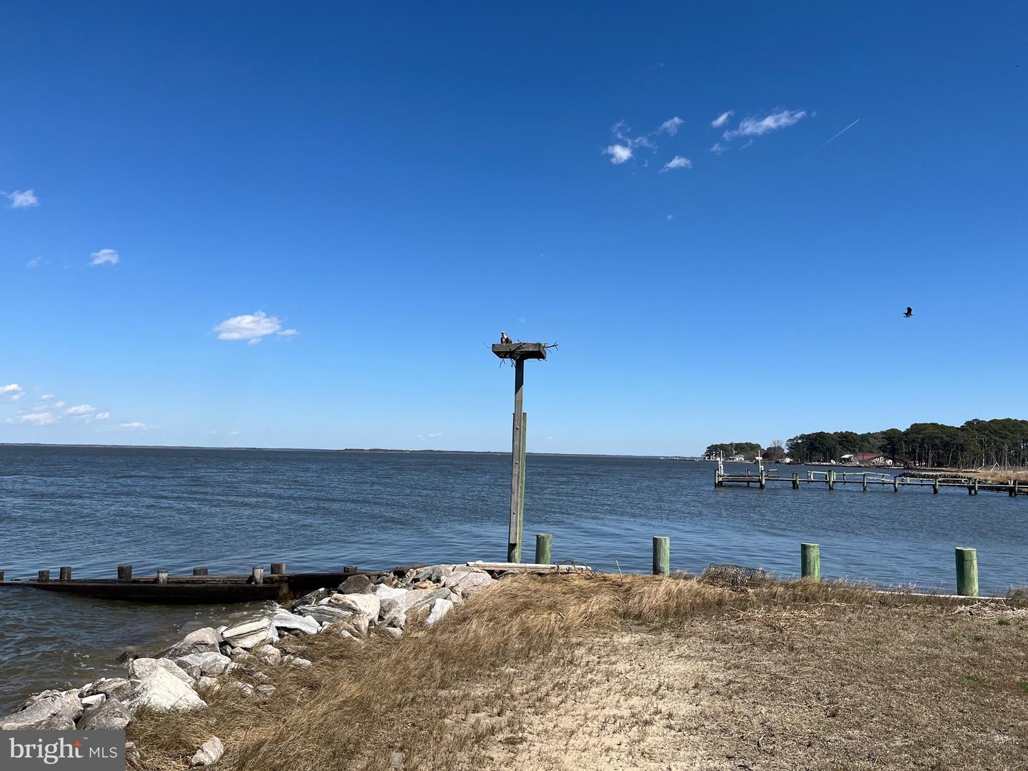 MDSO2004392-802940001896-2024-04-05-00-17-08 11513 Hodson White Rd | Deal Island, Md Real Estate For Sale | MLS# Mdso2004392  - Keti Lynch